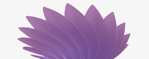 Fibonacci Flowers Three.js